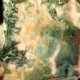 Dinosaur Fossilized Coprolite