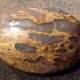 Cabochons