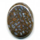 Dinosaur Bone Cabachon (4964030875)