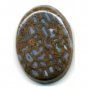 Dinosaur Bone Cabachon (4964030875)