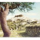 PATMOS-HORA Greece 1960s Color Postcard 4" x 6" Olive Tree and White Buildings