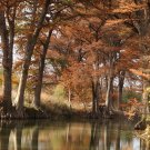 Fall Creek 1111A