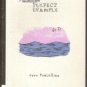 PERFECT EXAMPLE by John Porcellino, Softcover 1st Ed. 2000