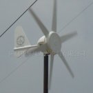 50W/100W/300W small wind turbine