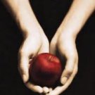 Twilight: Book 1 - Paperback