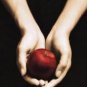 Twilight: Book 1 - Paperback
