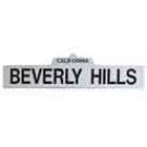 Beverly Hills Street Sign - 3062