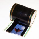 70mm Developed Film Strip - 10 feet - 6310 70mm Developed Film Strip - 10 feet - 6310
