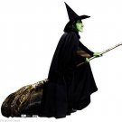 New Life-size cardboard cutout of The Wicked Witch Cutout #570 - 4138
