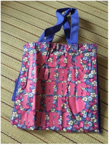 JAPANESE MAGAZINE PREMIUM APPENDIX JILL STUART x MORE Tote bag BRAND NEW