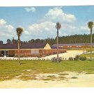Postcard - Lake City, Florida - Lazy Lodge Motel - ED802
