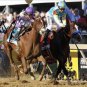MARIO GUTIERREZ  * I'LL HAVE ANOTHER * SIGNED PHOTO 8X10 AUTO RP KENTUCKY DERBY