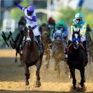 MARIO GUTIERREZ * I'LL HAVE ANOTHER * SIGNED PHOTO 8X10 RP AUTO PREAKNESS MARIO GUTIERREZ * I'LL HAVE ANOTHER * SIGNED PHOTO 8X10 RP AUTO PREAKNESS