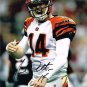 * ANDY DALTON SIGNED PHOTO POSTER JERSEY 8X10 RP AUTOGRAPHED BENGALS