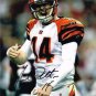 * ANDY DALTON SIGNED PHOTO POSTER JERSEY 8X10 RP AUTOGRAPHED BENGALS