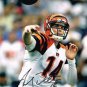**  ANDY DALTON SIGNED PHOTO POSTER JERSEY 8X10 RP AUTOGRAPHED BENGALS