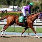 ** VICTOR ESPINOZA SIGNED PHOTO 8X10 RP ESPINOSA AUTOGRAPHED CALIFORNIA CHROME