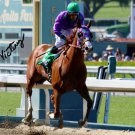 VICTOR ESPINOZA SIGNED PHOTO 8X10 RP AUTOGRAPHED CALIFORNIA CHROME VICTOR ESPINOZA SIGNED PHOTO 8X10 RP AUTOGRAPHED CALIFORNIA CHROME