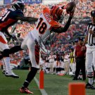 * AJ GREEN SIGNED AUTOGRAPHED PHOTO RP 8X10 CINCINNATI BENGALS * AJ GREEN SIGNED AUTOGRAPHED PHOTO RP 8X10 CINCINNATI BENGALS