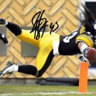 Troy Polamalu signed Autographed photo rp 8x10 Pittsburgh Steelers Troy Polamalu signed Autographed photo rp 8x10 Pittsburgh Steelers