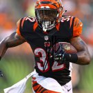 JEREMY HILL SIGNED PHOTO 8X10 RP AUTOGRAPHED CINCINNATI BENGALS FOOTBALL JEREMY HILL SIGNED PHOTO 8X10 RP AUTOGRAPHED CINCINNATI BENGALS FOOTBALL