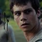 DYLAN O'BRIEN SIGNED PHOTO 8X10 RP AUTOGRAPHED * THE MAZE RUNNER