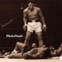 ALEXANDER SKARSGARD SIGNED POSTER PHOTO 8X10 RP AUTOGRAPHED THE LEGEND OF TARZAN