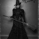 * IDINA MENZEL SIGNED PHOTO 8X10 RP AUTOGRAPHED WICKED THE MUSICAL * IDINA MENZEL SIGNED PHOTO 8X10 RP AUTOGRAPHED WICKED THE MUSICAL