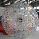 Colour dot  Zorb ball  for sale