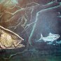 PRINT ART-STRIPED BASS-R.J. McDONALD--1973-COLLECTOR SERIES III