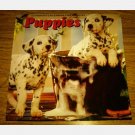 PUPPIES 1998 1999 Calendar Forget Me Not AMERICAN GREETINGS UPC 018100131500