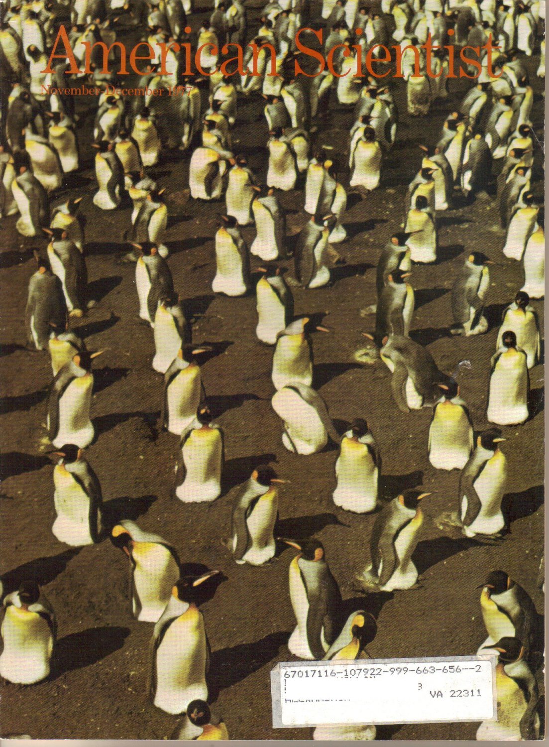 American Scientist Magazine November December 1977 Emperor Penguin-Artificial Intelligence