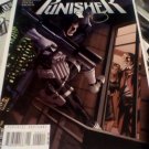 Punisher - dark reign #4