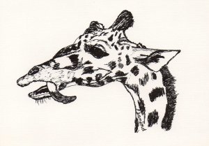Giraffe Note Cards