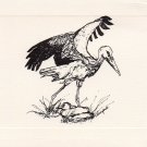 Stork Note Cards