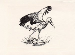 Stork Note Cards