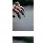 Gold with stone Long sharp nail style ring