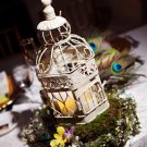 Birdcage Centerpiece with Peacock Feathers