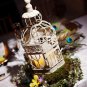 Birdcage Centerpiece with Peacock Feathers