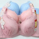 BRA 1176C