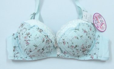 BRA 1198A