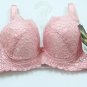BRA 1206C