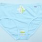 panty 3032