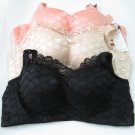 BRA 1213B