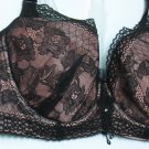 BRA 1217D