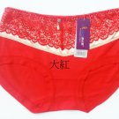 中腰棉質女裝內褲3119 9隻色 女裝打底褲女士少女OL