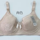 薄棉胸圍1248D 4色D杯 40D 42D/90D 95D Bra 女裝內衣