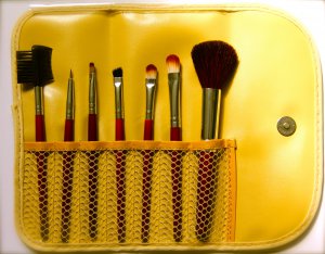 Deluxe makeup brushes Set (7 pieces with carrying case)