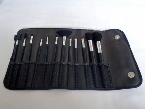 Professional Deluxe makeup brushes Set (12 pieces with carrying case)