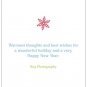 MERRY EVERYTHING | 10ct - 4"x8" flat glossy photo greeting cards w matching envelopes
